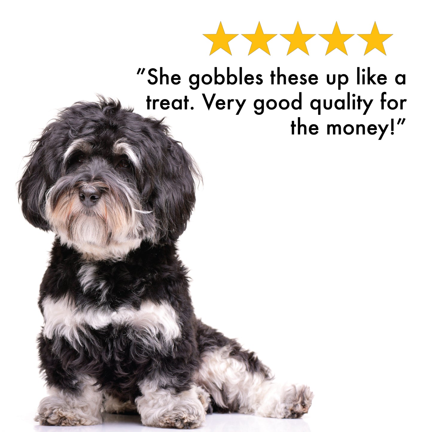 Dog-Vites™ Multi-Vitamin and Mineral Supplement for Dogs 100 Beef Flavor Chewables