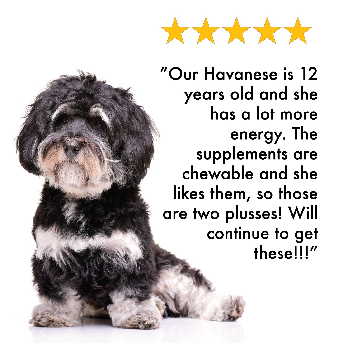 Dog-Vites™ CoQ10 For Dogs 30mg 60 Beef Flavored Chewables