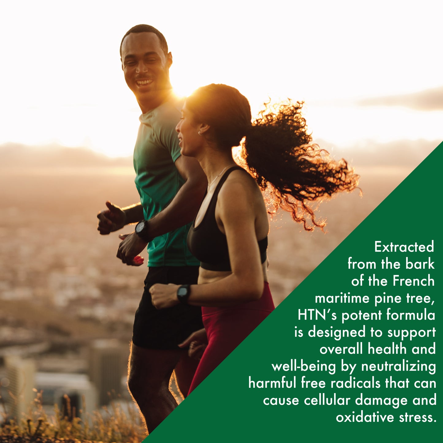 Pycnogenol® (French Maritime Pine Bark) 50mg 30 Vegecaps