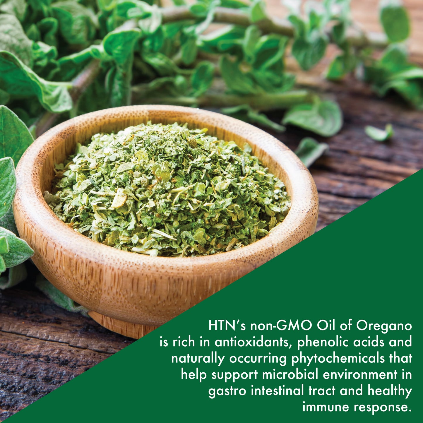 Oil of Oregano - Wild 150mg