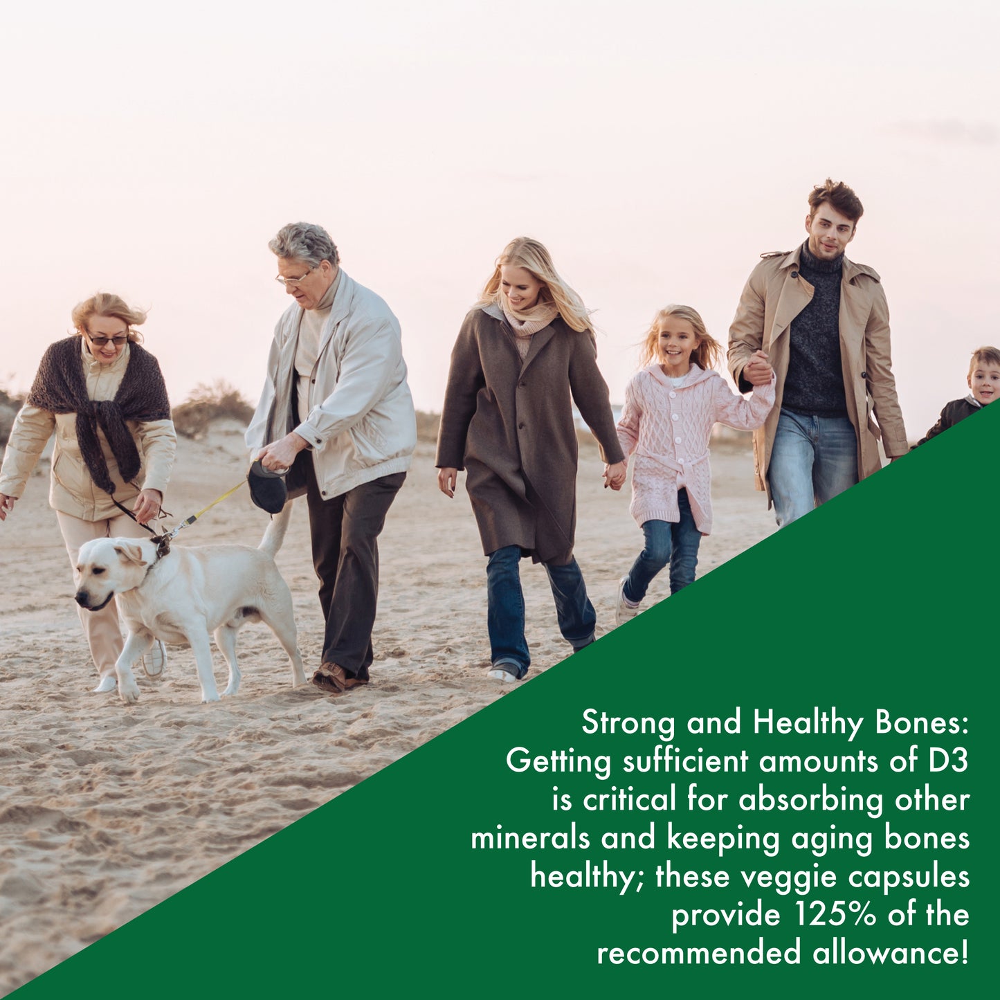 Vitamin K2 + D3 60 Vegecaps